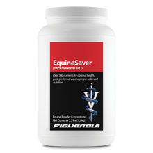 Load image into Gallery viewer, EquineSaver Horses