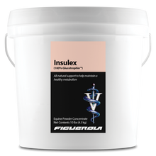 Load image into Gallery viewer, Insulex Horses