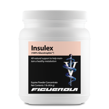 Load image into Gallery viewer, Insulex Horses