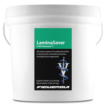 Load image into Gallery viewer, LaminaSaver Horses