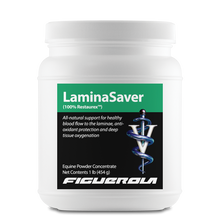 Load image into Gallery viewer, LaminaSaver Horses