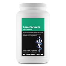 Load image into Gallery viewer, LaminaSaver Horses