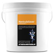 Load image into Gallery viewer, NaviculaSaver Horses