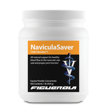 Load image into Gallery viewer, NaviculaSaver Horses