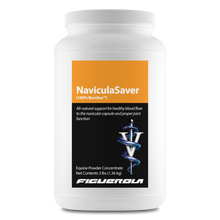 Load image into Gallery viewer, NaviculaSaver Horses