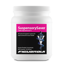 Load image into Gallery viewer, SuspensorySaver Horses