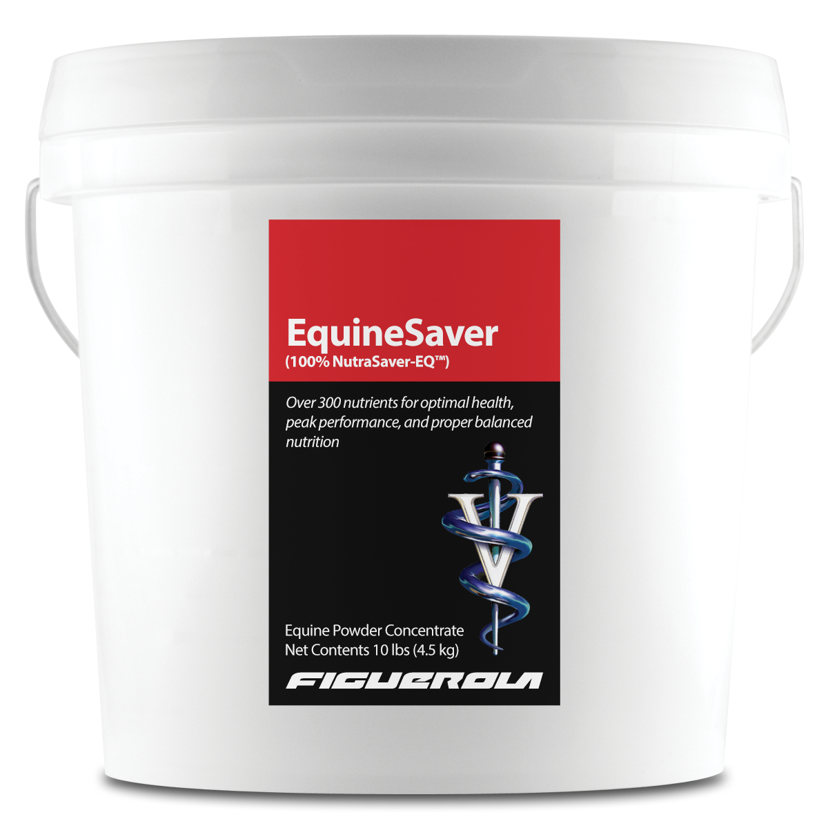 EquineSaver Horses