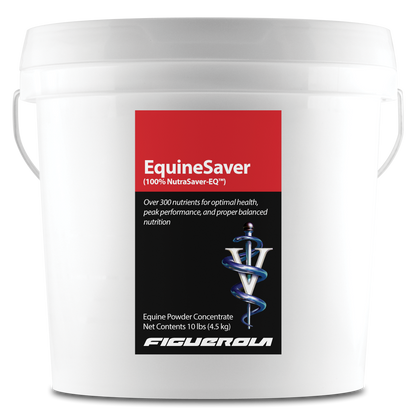 EquineSaver Horses