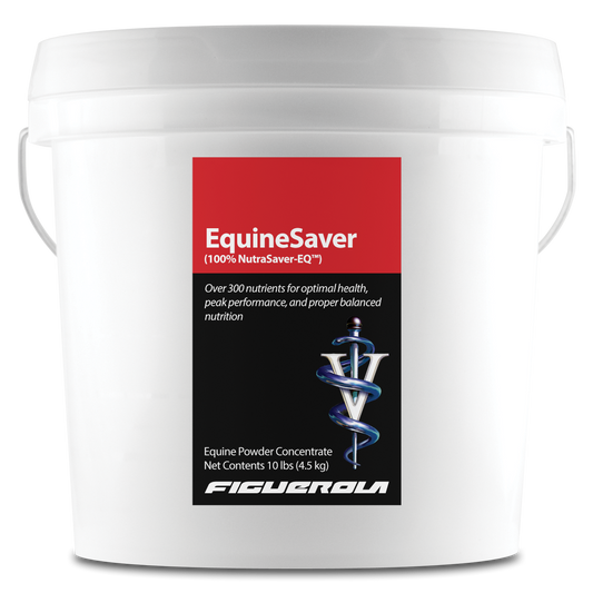 EquineSaver Horses
