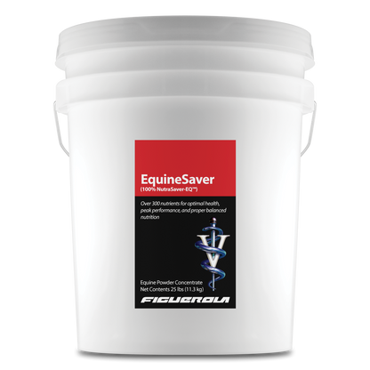 EquineSaver Horses