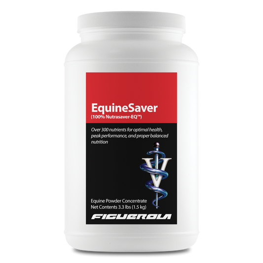 EquineSaver Horses