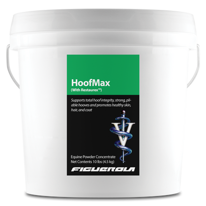 HoofMax Horses