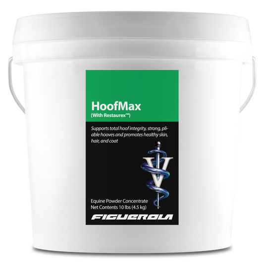 HoofMax Horses