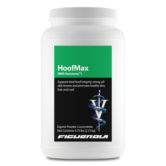 HoofMax Horses