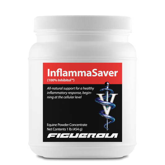 InflammaSaver Horses