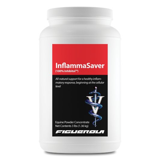 InflammaSaver Horses