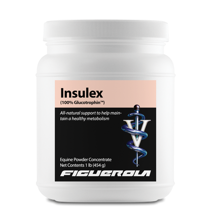 Insulex Horses