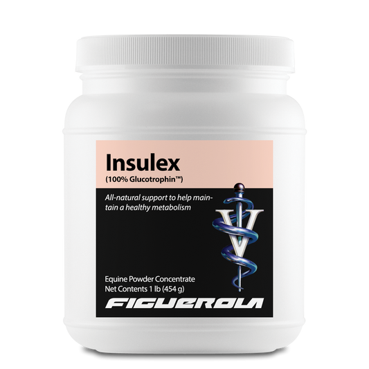 Insulex Horses