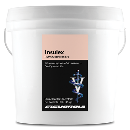 Insulex Horses