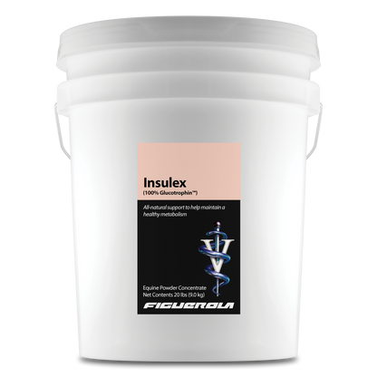 Insulex Horses