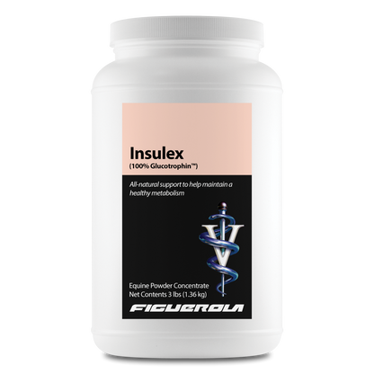 Insulex Horses