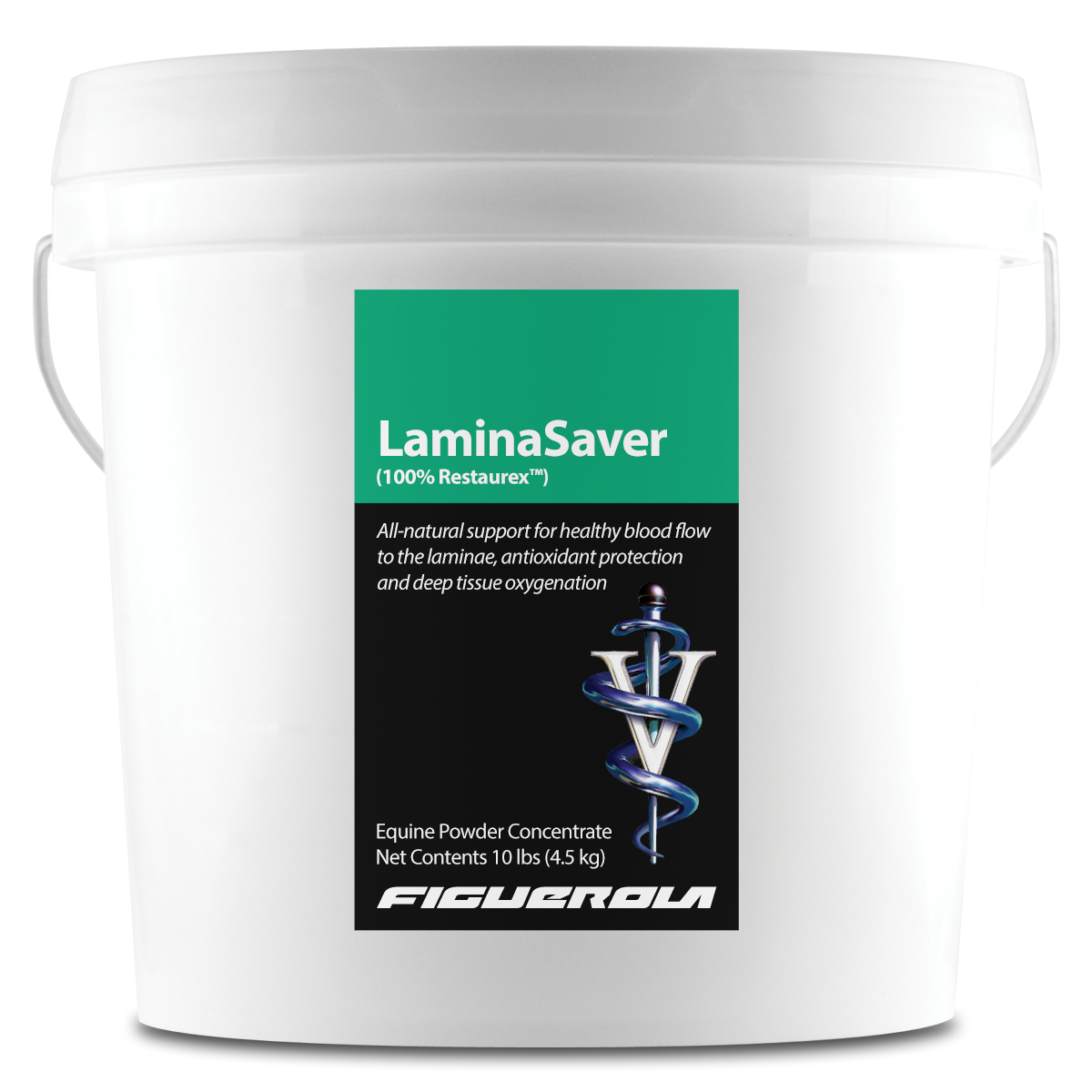 LaminaSaver Horses