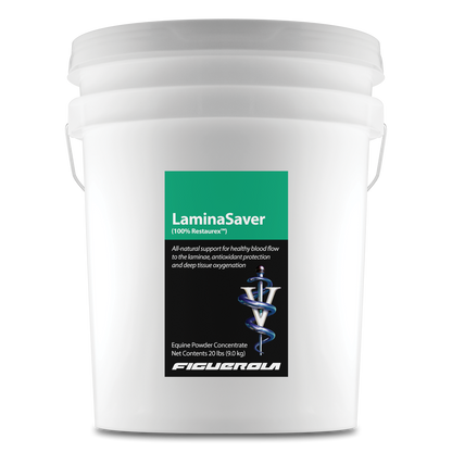 LaminaSaver Horses