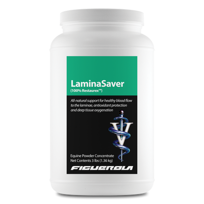 LaminaSaver Horses