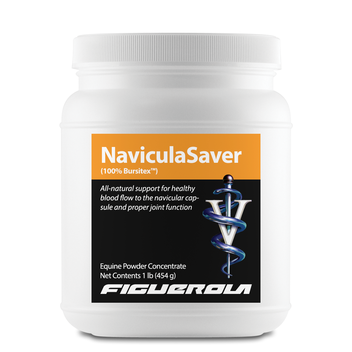 NaviculaSaver Horses
