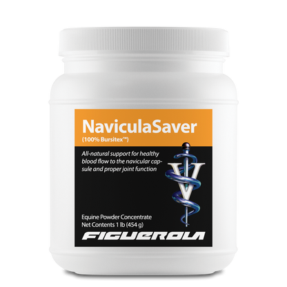 NaviculaSaver Horses