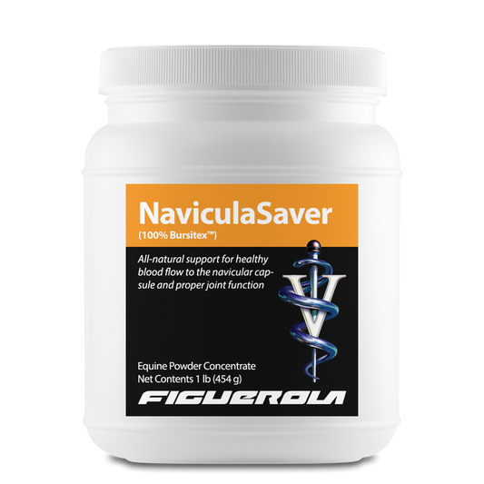 NaviculaSaver Horses