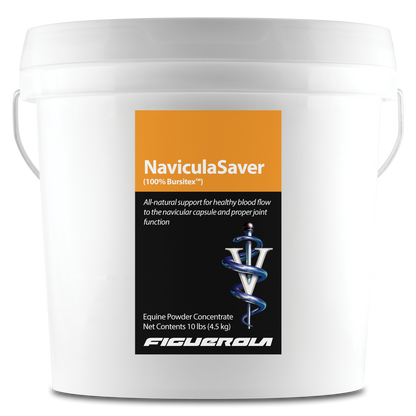 NaviculaSaver Horses